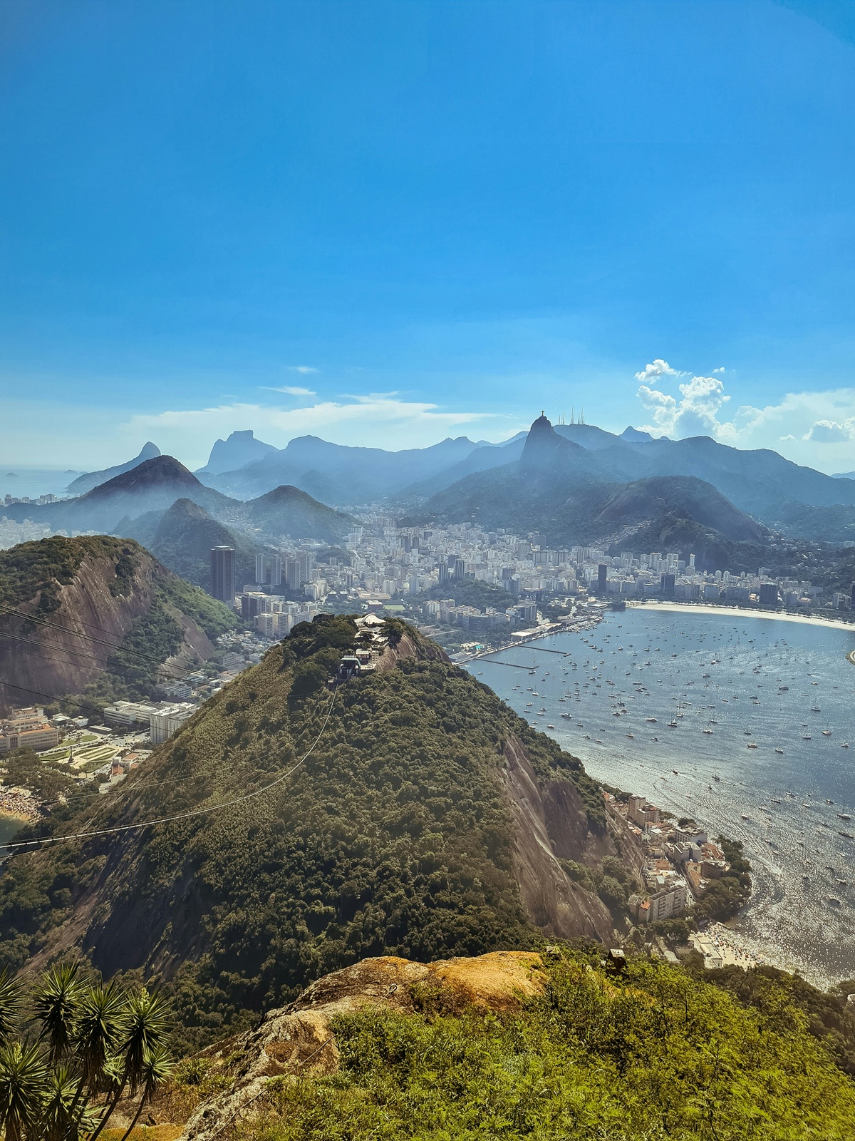 Untamed 8 Days Tour in Brazil — Rio, Ipanema & Tijuca
